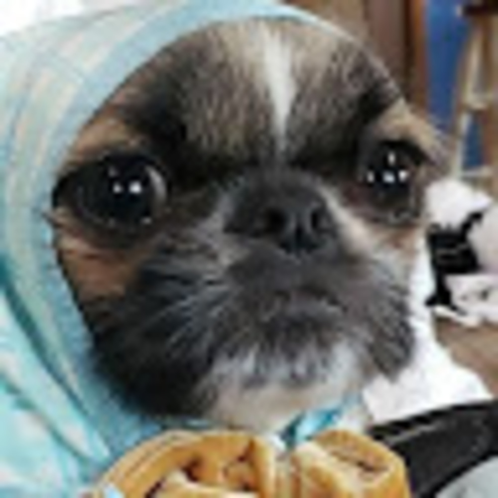 Meet your Posher, Aub